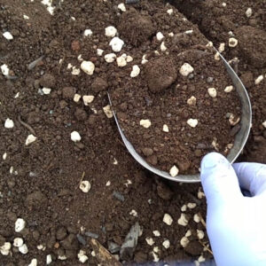Terreno ammendato con Zeolite