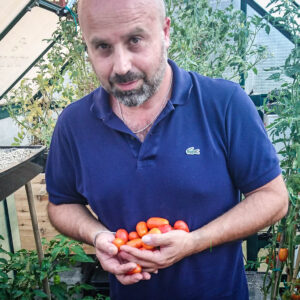 Aniello Pietro Torino e la raccolta dei primi pomodori idroponici in zeolite