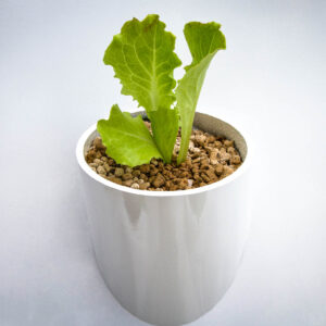 Dettaglio di uno dei vasi del coltivatore Zeovertical Grow 33