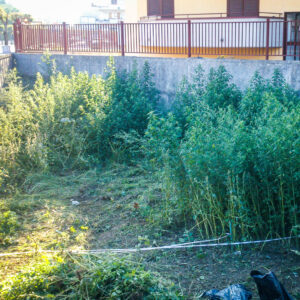 Il giardino impossibile