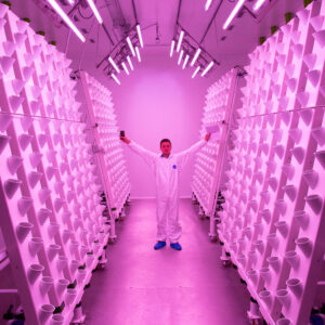 Vittorio Arenella durante il collaudo della prima Vertical Farm in zeolite indoor