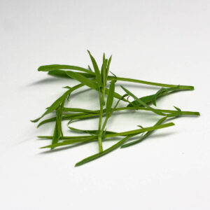 cicerchia paduli - microgreens in zeolite