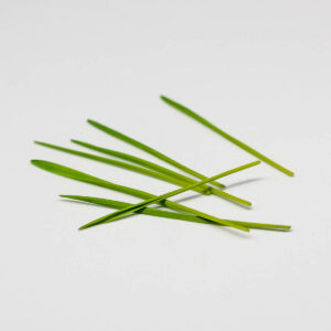 farro paduli - microgreens in zeolite